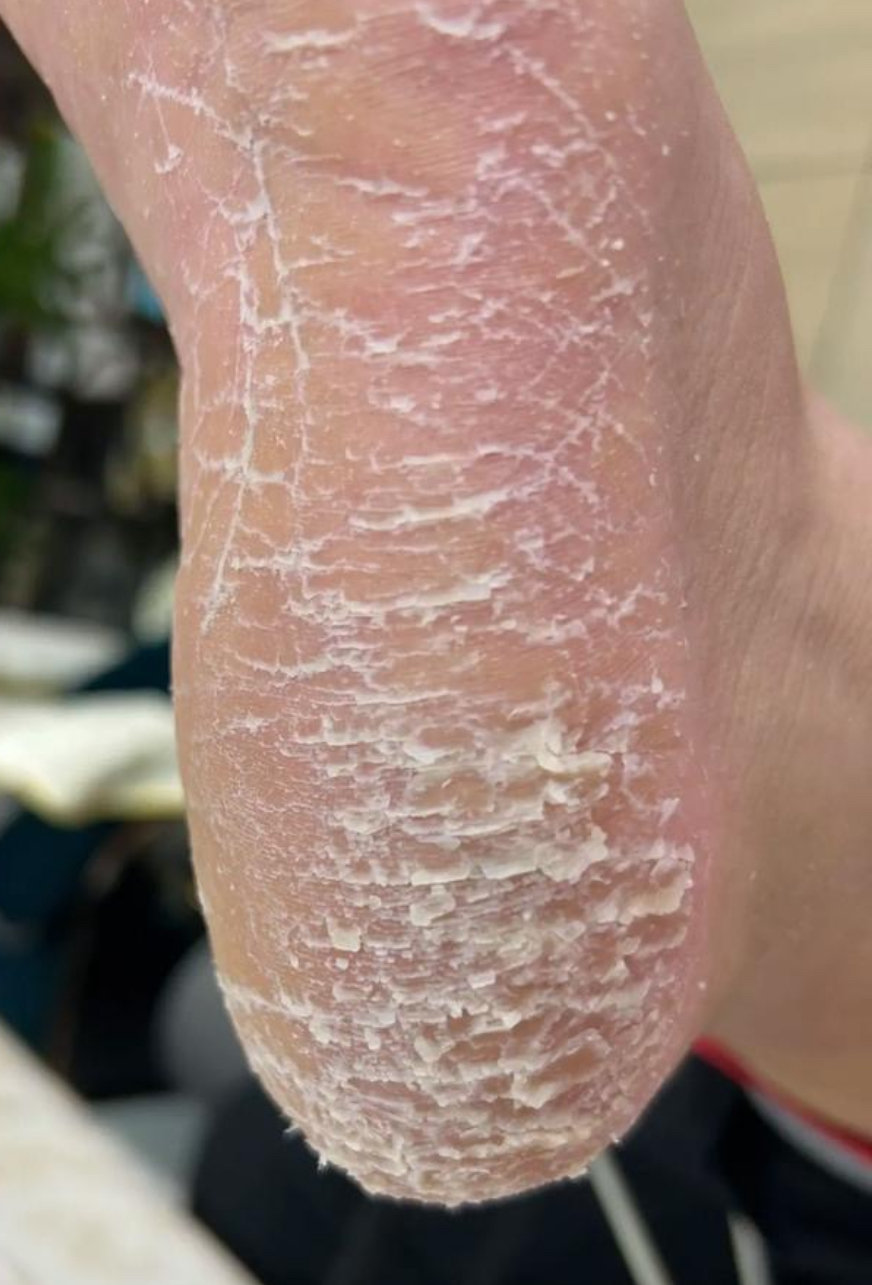 ����Ϊ�������̲�������Դ���������������Ⱦ��������